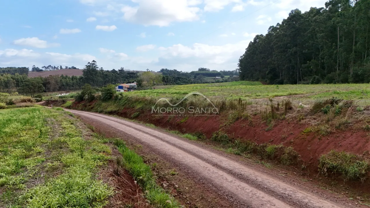 Uma estrada de terra atravessa um campo verde com vegetação densa ao fundo.