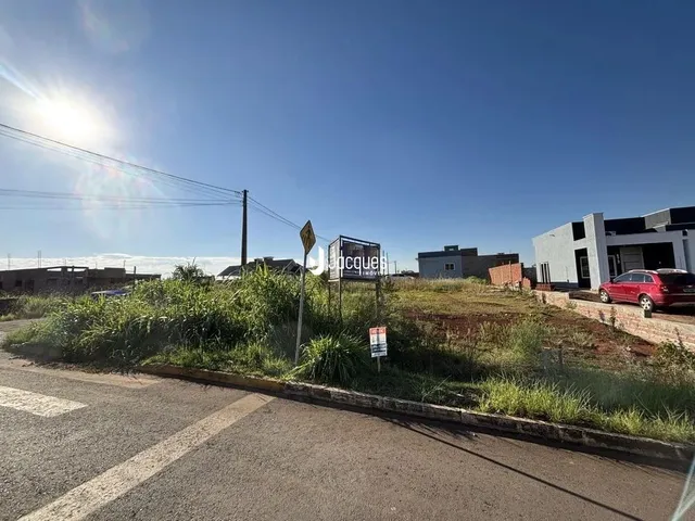 Vista da rua e vegetação em frente a uma propriedade em Lajeado.
