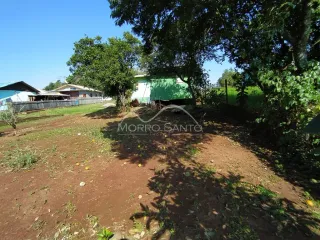 Foto de uma área externa de terra com vegetação em um lote.