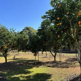 Área rural com 2 dormitórios, foto 25