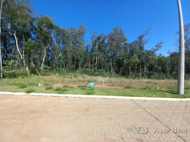 Terreno, foto 3
