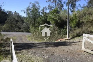 Área rural com 4 dormitórios, foto 4
