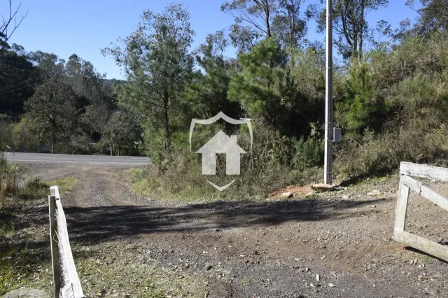 Área rural com 4 dormitórios, foto 4