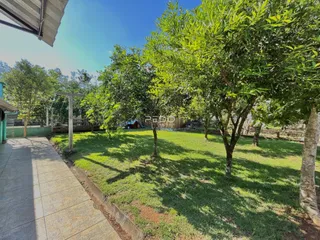 Vista de um jardim com árvores e um caminho pavimentado.