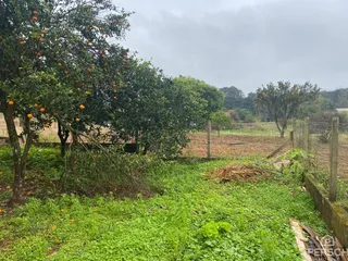 Casa, foto 14