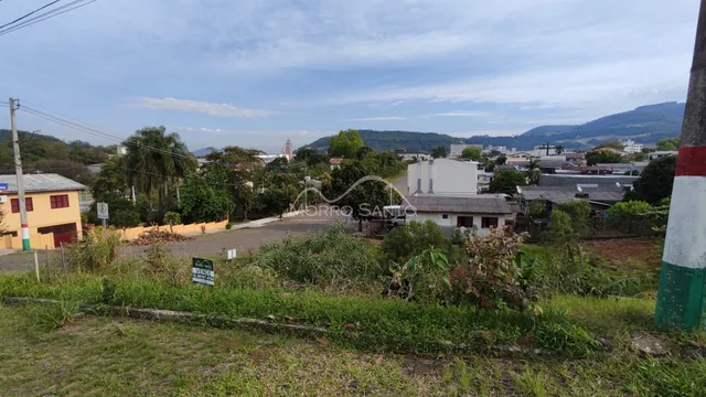 Terreno, foto 3