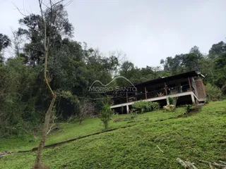 Vista externa de uma casa em uma área verde com vegetação densa.