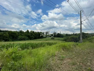 Paisagem de campo com vegetação verde e árvores ao fundo.