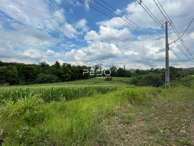 Área rural, foto 4