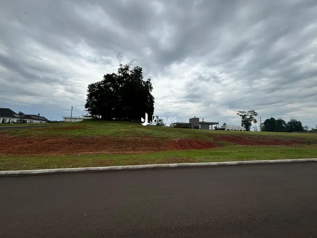 Terreno, foto 2