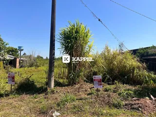 Paisagem externa com vegetação alta e grama seca na propriedade.