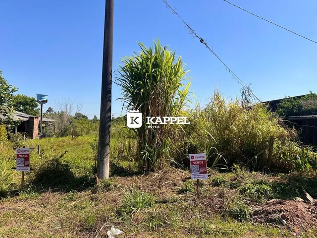 Paisagem externa com vegetação alta e grama seca na propriedade.