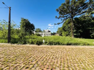 Campo aberto com vegetação densa ao fundo.