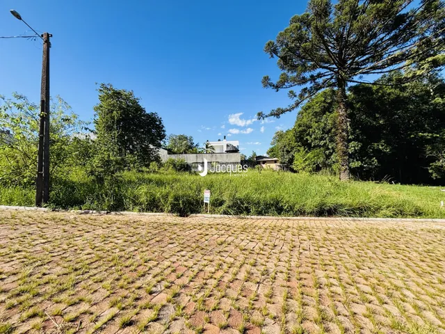 Campo aberto com vegetação densa ao fundo.