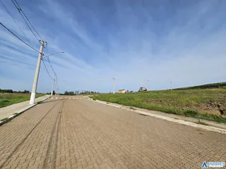 Terreno, foto 13