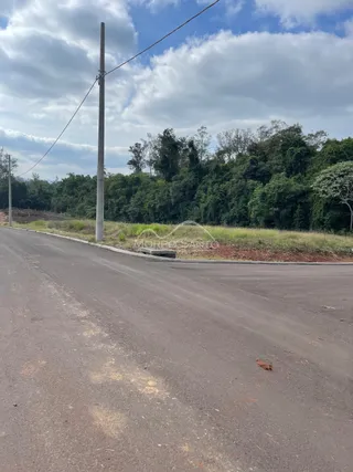 Terreno, foto 5