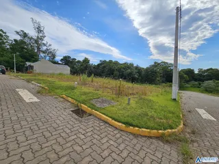 Vista da propriedade com gramado e estrada no entorno.