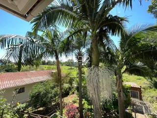Vista externa da propriedade com árvores de palmeira e vegetação exuberante.