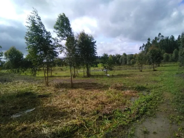 Terreno, foto 2