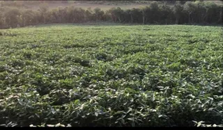 Área rural com 1 dormitório, foto 4