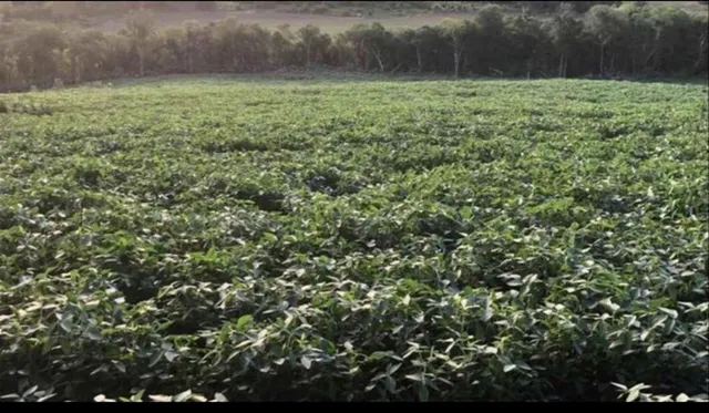 Área rural com 1 dormitório, foto 4