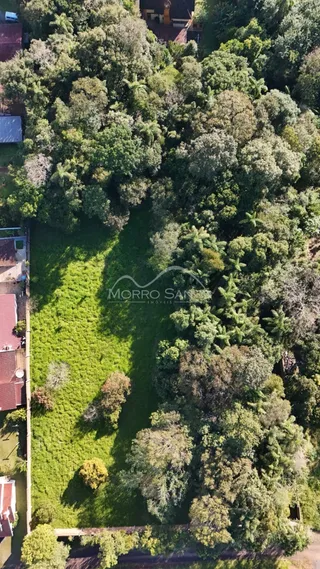 Vista aérea de uma propriedade mostrando área verde e vegetação densa.