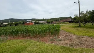 Área rural com 3 dormitórios, foto 6