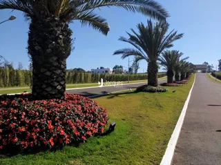 Terreno, foto 14
