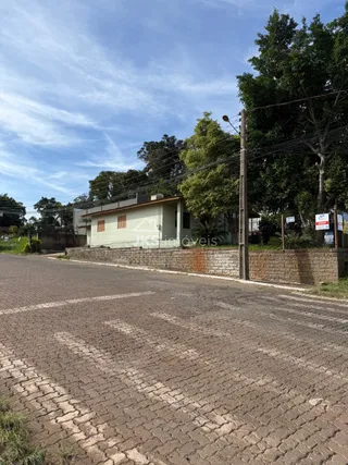 Terreno, foto 3