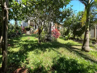 Jardim gramado com árvores no quintal da propriedade.