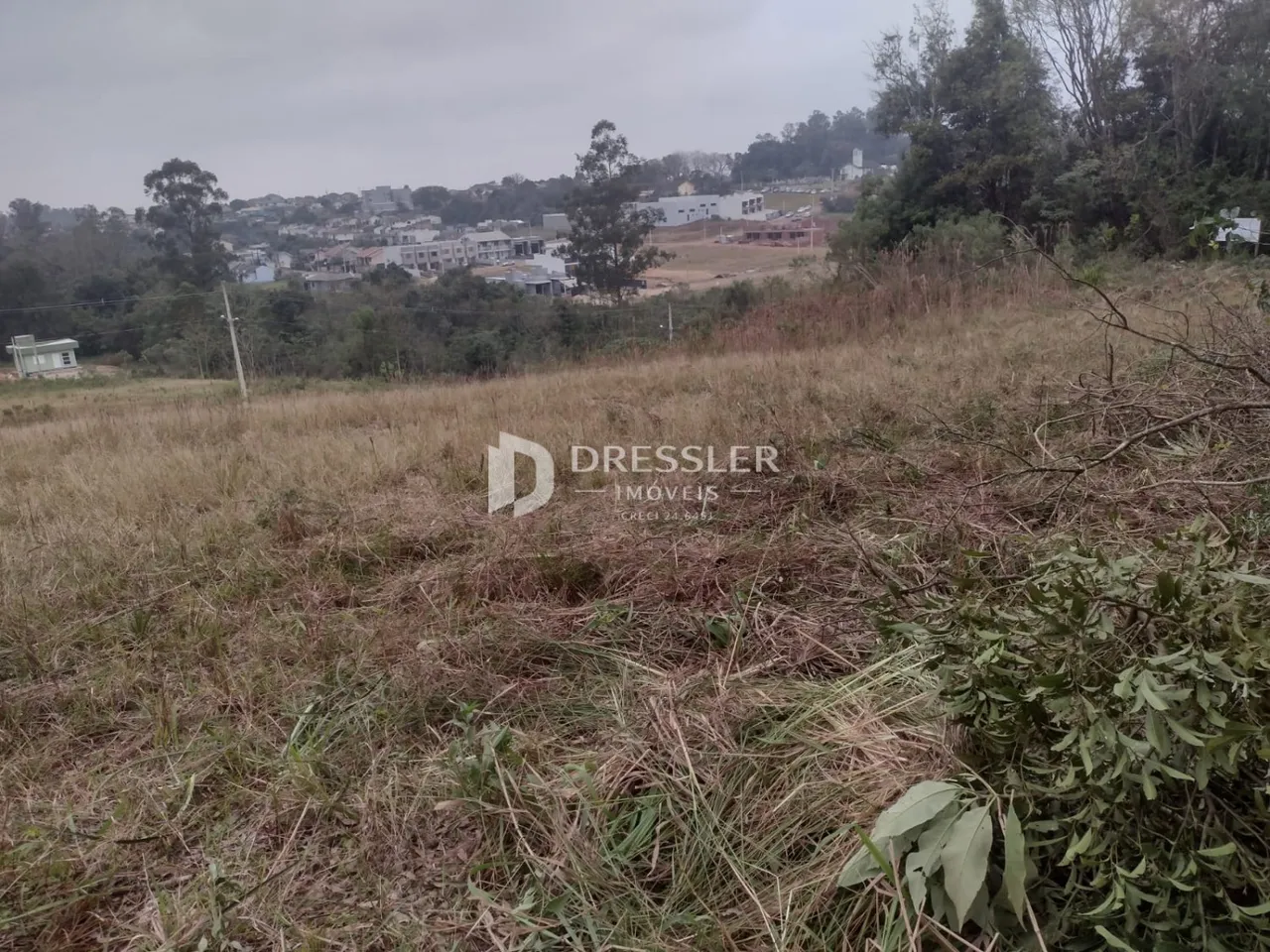 Terreno, foto 1