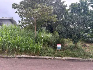 Vista externa de uma propriedade em Lajeado, Brasil, com vegetação densa ao longo da estrada.
