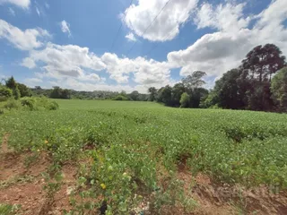 Terreno, foto 7