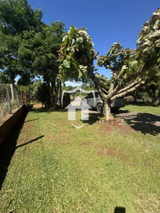 Área rural com 3 dormitórios, foto 6