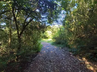 Área rural com 1 dormitório, foto 12