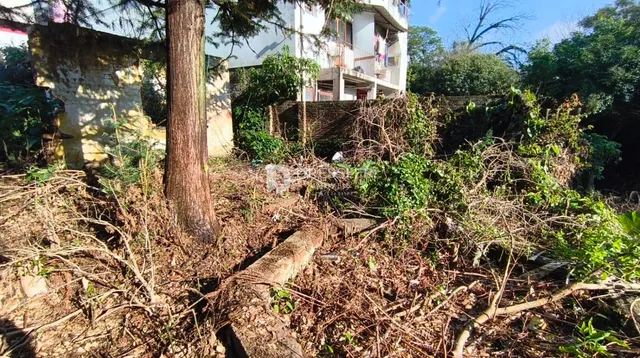 Terreno, foto 4