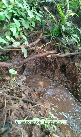 Área rural com 3 dormitórios, foto 9