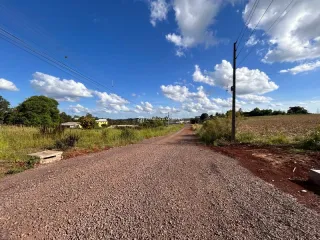 Uma estrada de terra leva a um campo aberto sob um céu azul.