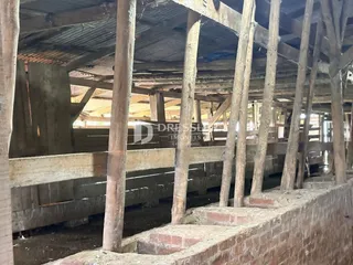 Área rural, foto 27