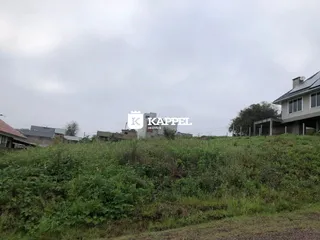 Vista externa mostrando vegetação densa em frente a uma residência em Lajeado.