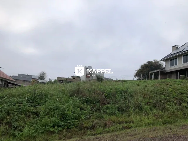 Vista externa mostrando vegetação densa em frente a uma residência em Lajeado.