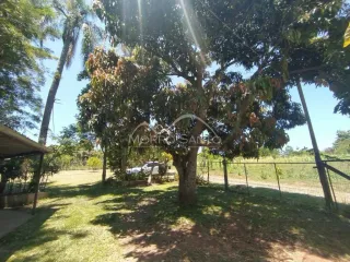 Área rural, foto 5