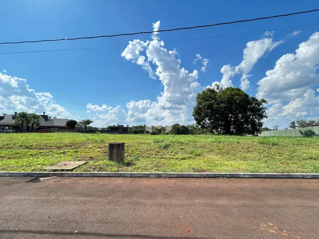 Campo verde com uma estrada no primeiro plano.