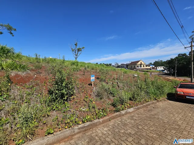 Terreno
