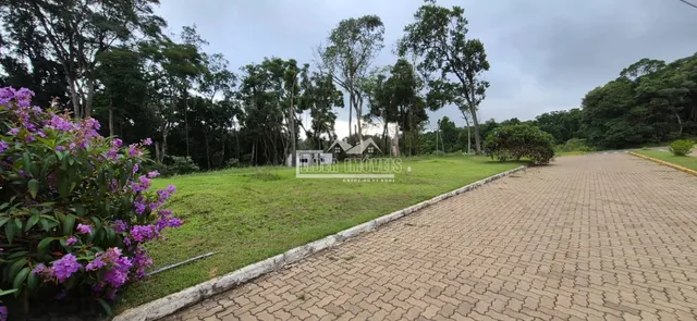 Terreno, foto 2