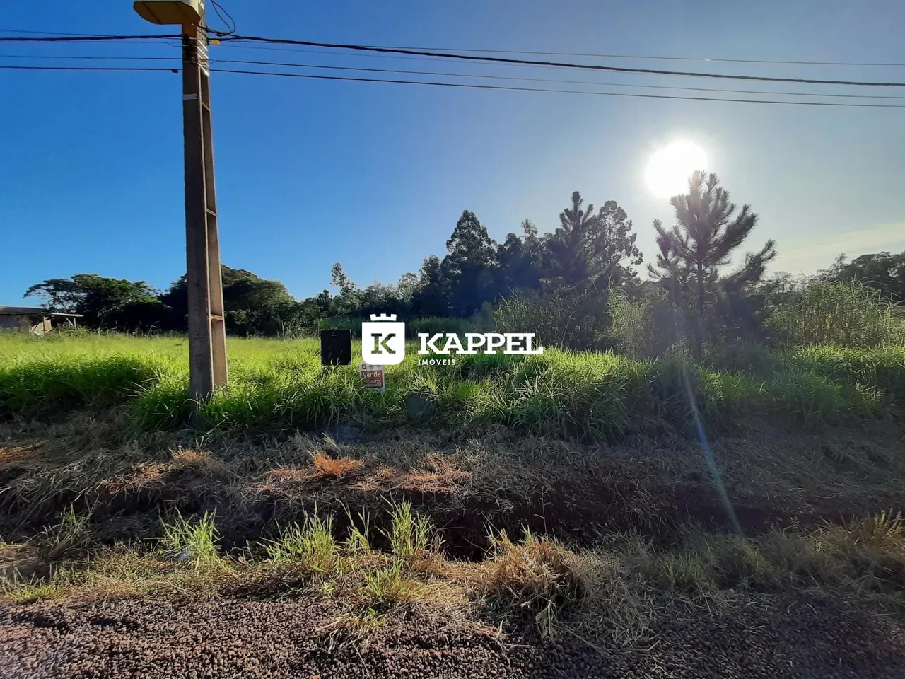 Vista externa de um terreno com vegetação seca e poste de luz.
