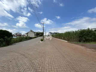 Terreno, foto 2
