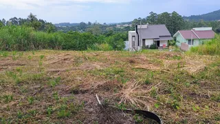 Terreno, foto 3