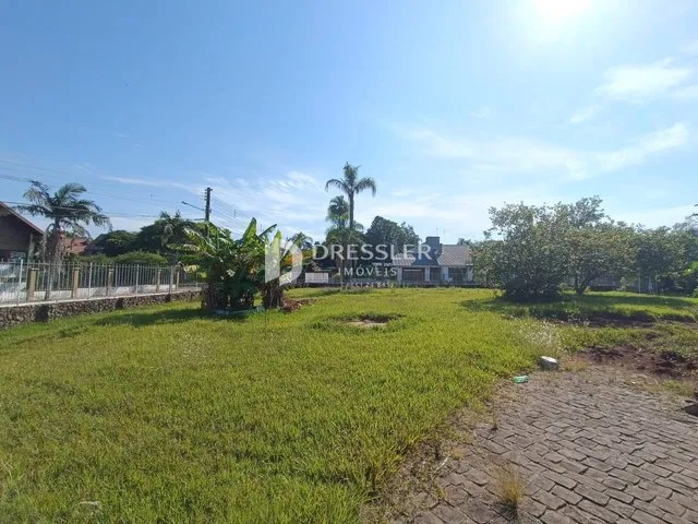 Vista externa de um terreno com gramado e vegetação.