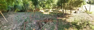 Área rural com 1 dormitório, foto 7